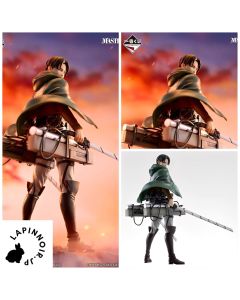 {{product_name}} - {{category}} - Japan Import