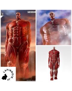 {{product_name}} - {{category}} - Japan Import