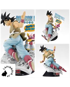 {{product_name}} - {{category}} - Japan Import