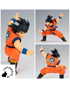 {{product_name}} - {{category}} - Japan Import