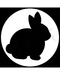 {{product_name}} - {{category}} - Japan Import