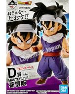 {{product_name}} - {{category}} - Japan Import