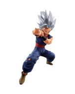 {{product_name}} - {{category}} - Japan Import