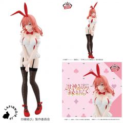 {{product_name}} - {{category}} - Japan Import