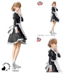 {{product_name}} - {{category}} - Japan Import