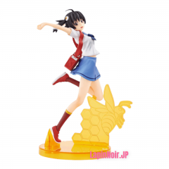 {{product_name}} - {{category}} - Japan Import
