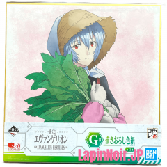 {{product_name}} - {{category}} - Japan Import
