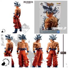 {{product_name}} - {{category}} - Japan Import