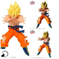 {{product_name}} - {{category}} - Japan Import