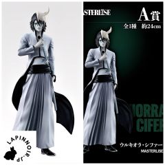 {{product_name}} - {{category}} - Japan Import