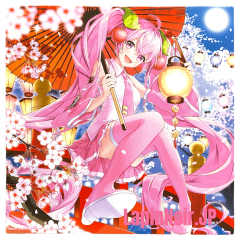 {{product_name}} - {{category}} - Japan Import