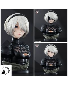 {{product_name}} - {{category}} - Japan Import