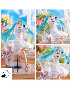 {{product_name}} - {{category}} - Japan Import