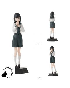 {{product_name}} - {{category}} - Japan Import