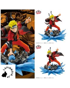 {{product_name}} - {{category}} - Japan Import