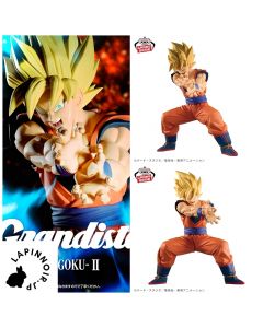 {{product_name}} - {{category}} - Japan Import