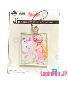 {{product_name}} - {{category}} - Japan Import