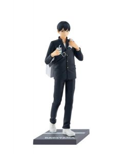 {{product_name}} - {{category}} - Japan Import