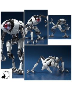 {{product_name}} - {{category}} - Japan Import