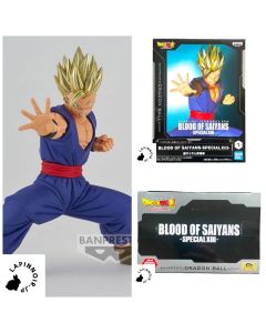 anime-dragon-ball-figure-son-gohan-blood-of-saiyans-specialxiii-banpresto-1
